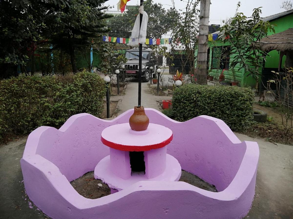 Hotel Garden Of Dreams Sauraha Esterno foto