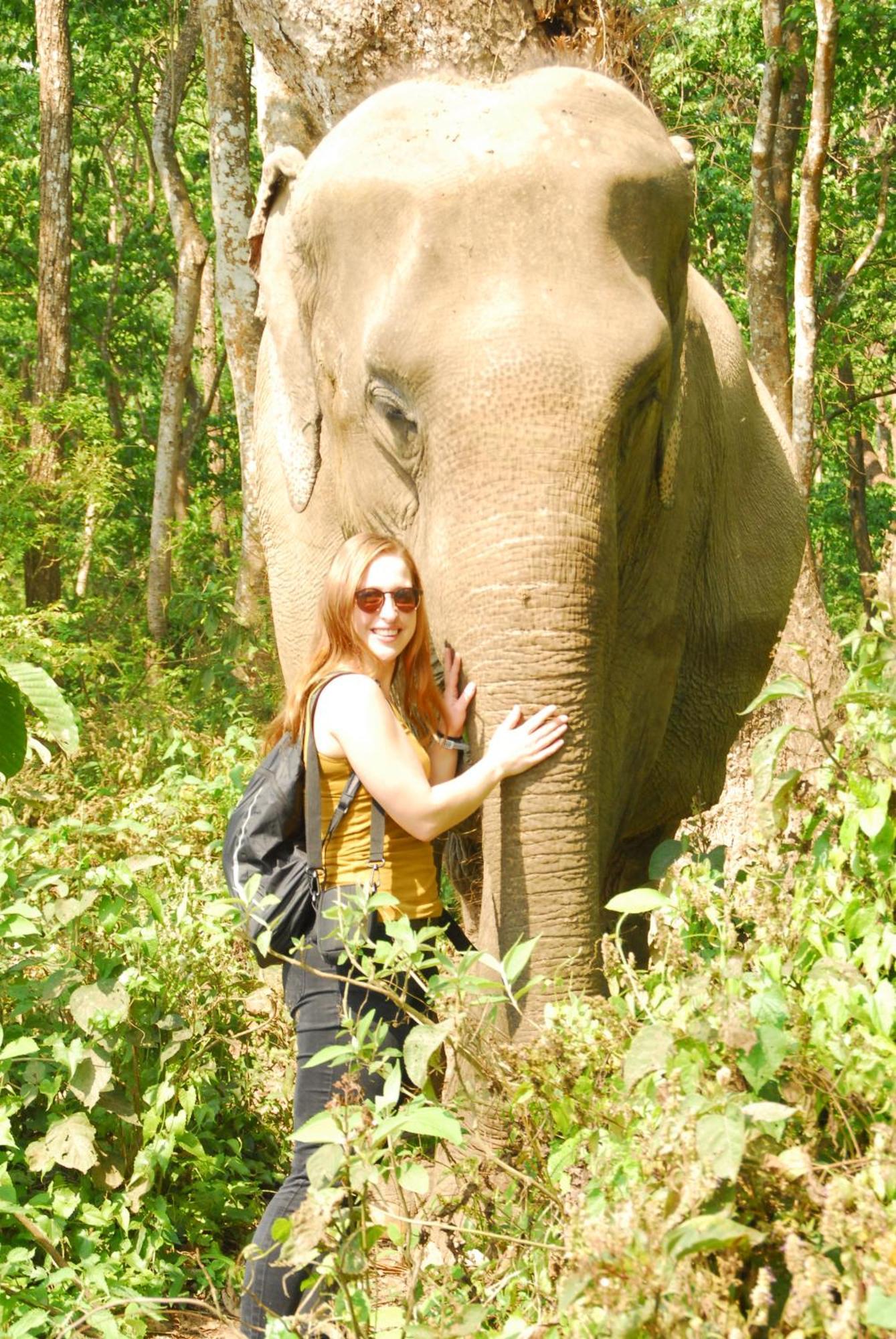 Hotel Garden Of Dreams Sauraha Esterno foto